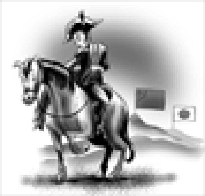 dw-napoleon.gif