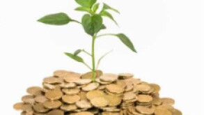 Fund