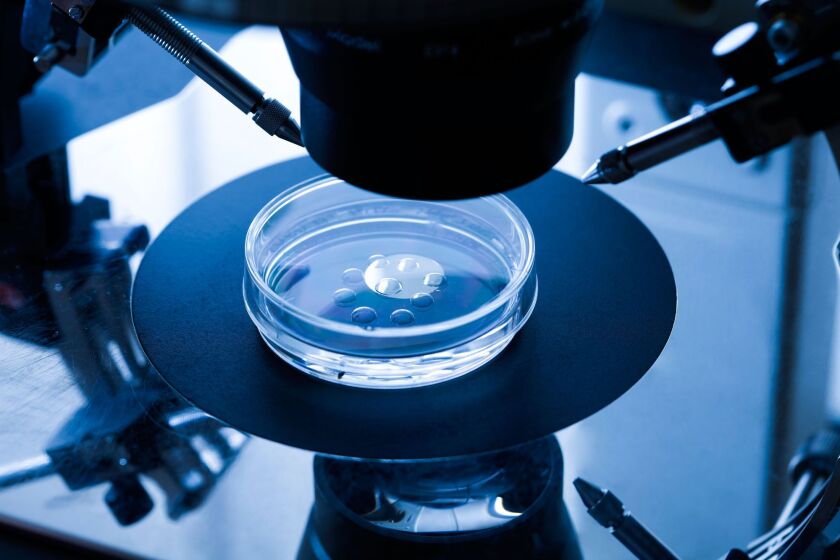 ivf.jpg