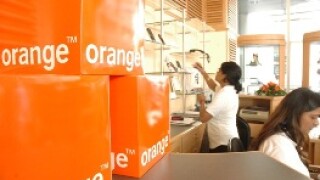 orange.jpg