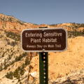 Reminder to Stay on Trail in Bryce near sensitive plant habitat of bristle cone pine trees