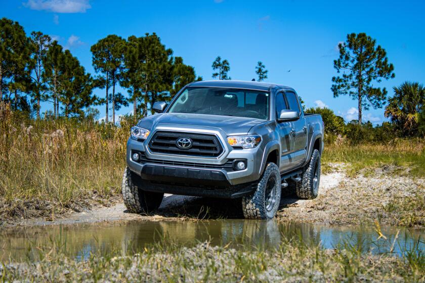 Toyota Tacoma brought out to the woods in South Florida after new lift and tires beautiful shots of this amazing truck. It looks means and aggressive.