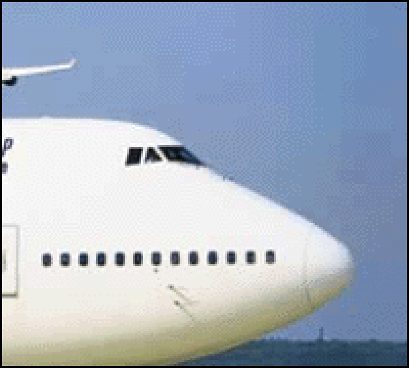 lmwairlines.gif