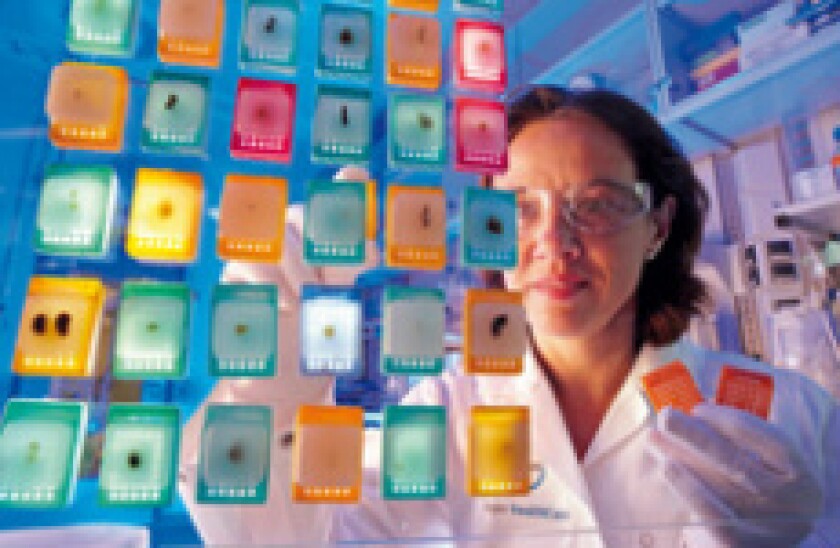 Bayer scientist  230x150