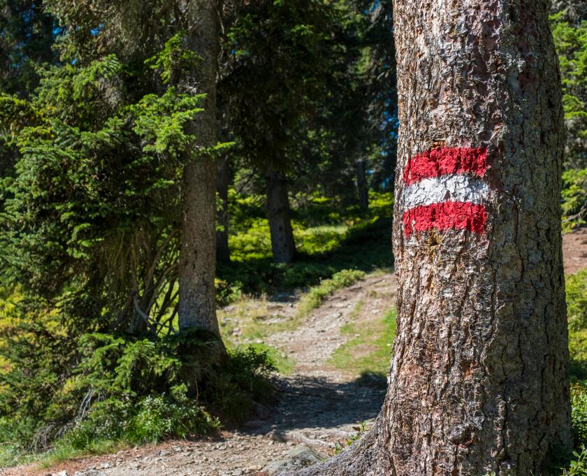 Austrian hiking blaze or trail marker, Austria, Europe