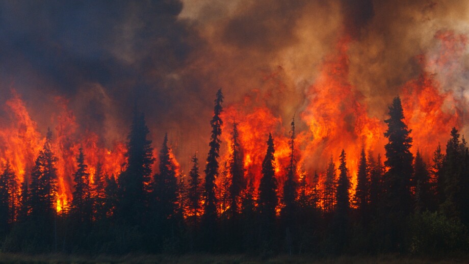 Blazing forest fire in Kenai Wildlife Refuge, Skilak Lake, Alaska, Summer.