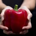 Red pepper on a woman's hand on black background - horizontal