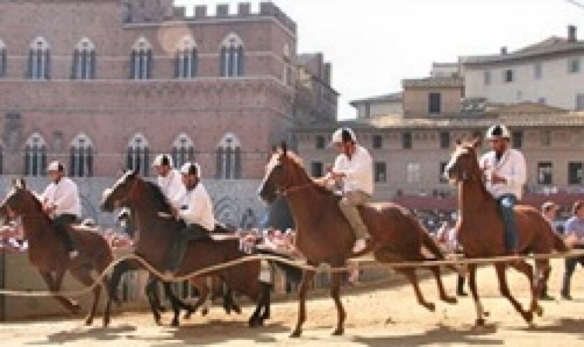 Palio Horse Race Siena
