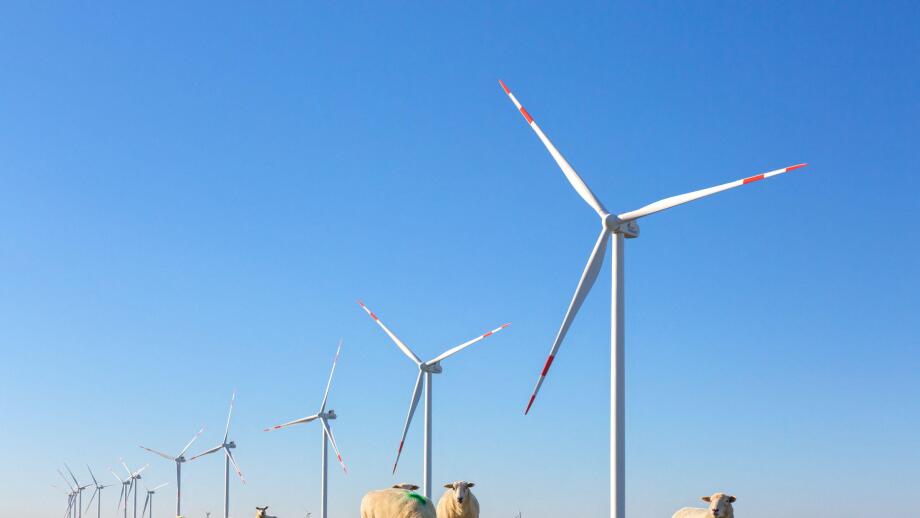 Wind turbines at wind park / windfarm in Schleswig-Holstein, Germany