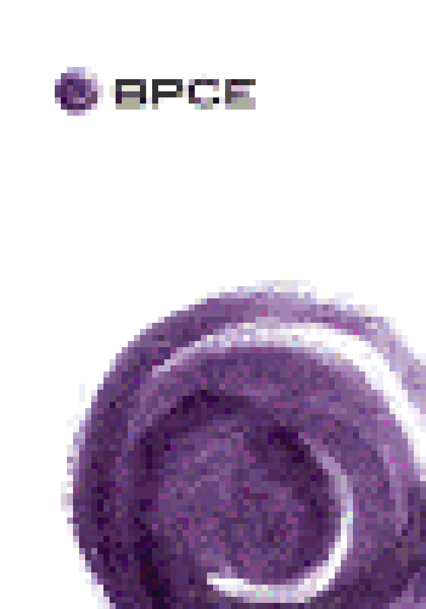 bpce.gif