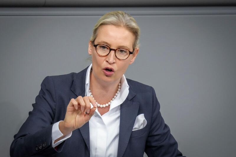 Alice Weidel, AfD leader and leader of the AfD parliamentary group, speaks at the Bundestag session after the government statement, in Berlin, Wednesday, Nov. 13, 2024. (Kay Nietfeld/dpa via AP)