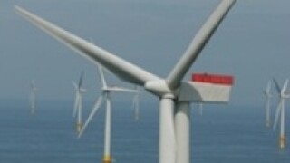 wind right size