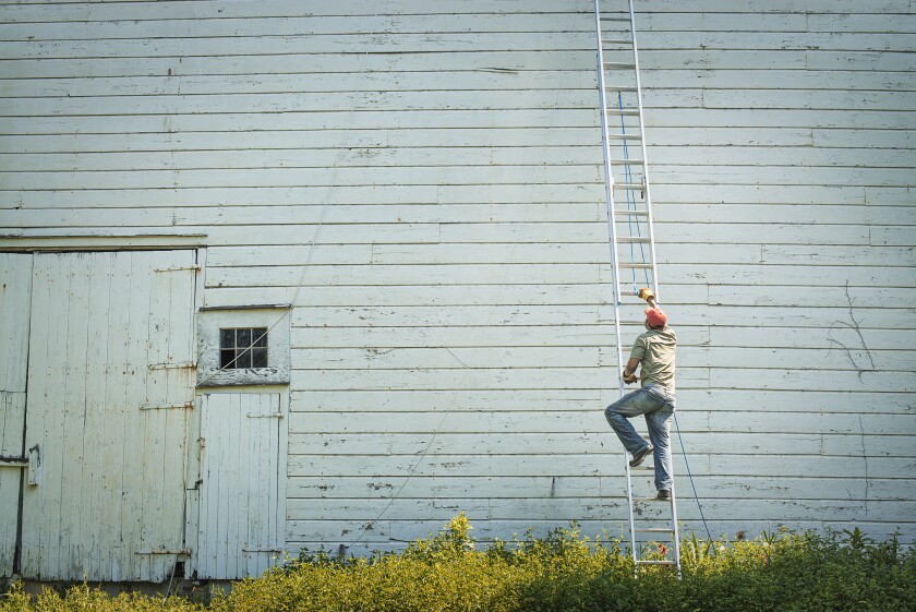 New York state USA man climbing ladder propped against clapboard barn
