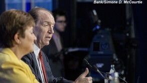 IMF