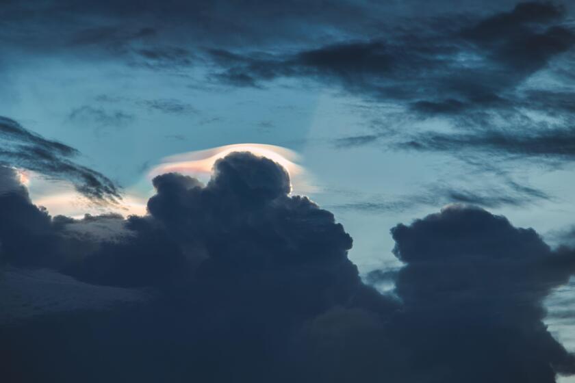 Iridescent Pileus Cloud. Rainbow cloudy. dark sky scape nature background. Big sky.