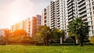 property px230