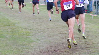 Several male athletes in a popular cross-country race