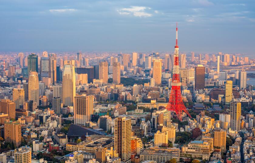 Tokyo aerial panoramic view