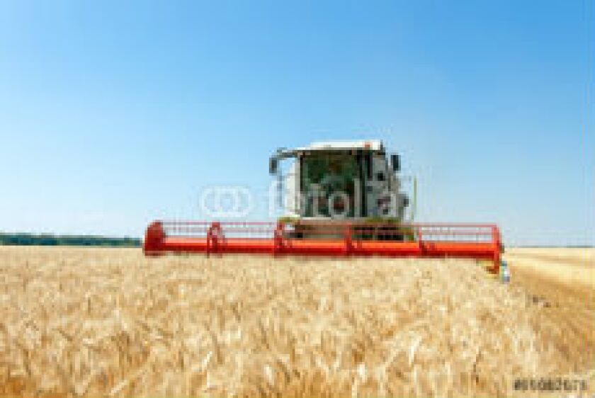 Agriculture_230
