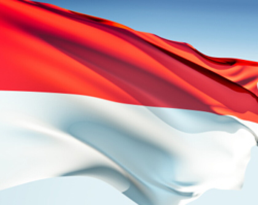indonesianflag2.jpg