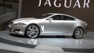 jaguar.jpg