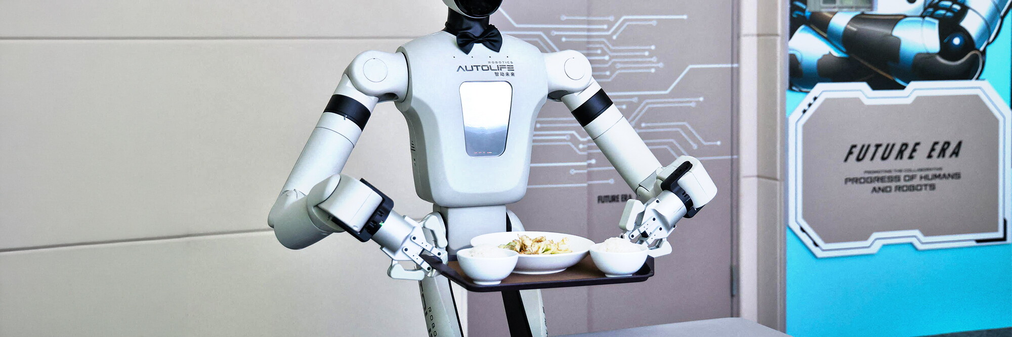 robot_3F7D8M5.jpg