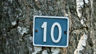 White number 10 on blue background attached to a tree