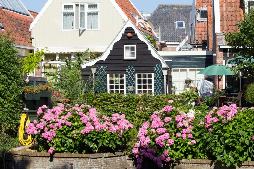Dutch houses and garden