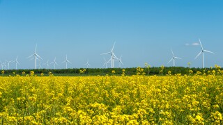 Eco farm of wind turbines close to rape field France Europe
