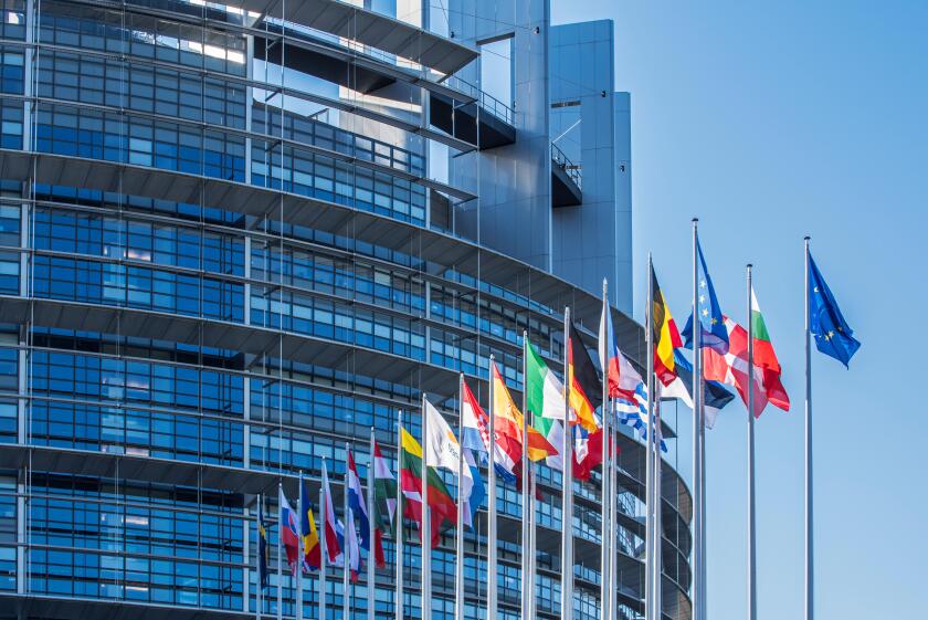 Flags of countries in Europe in front of the European Parliament / EP at Strasbourg, France