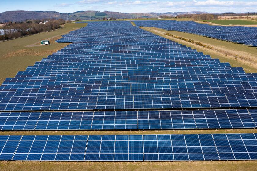 Aerial view from drone of solar panels in  solar energy farm in Scotland, UK