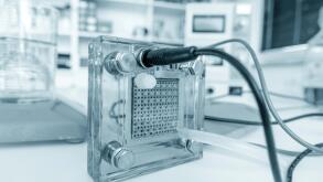Hydrogen fuel cell.