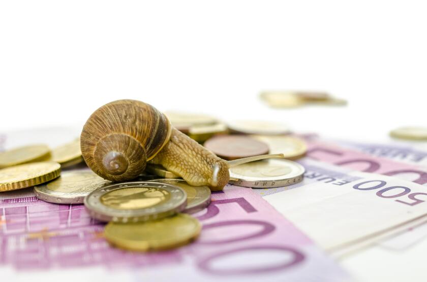Garden snail sitting on Euro banknotes and coins.