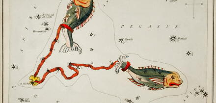 Astronomical chart illustration of the Pisces , 1831, Sidney Hall