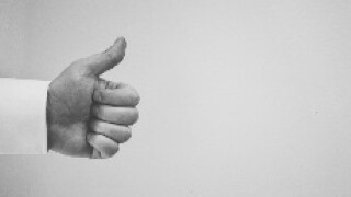 thumbs 230px