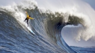 Wave 230x150