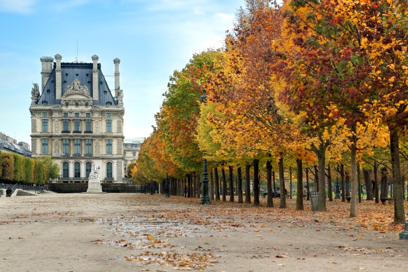 Autumn in Paris