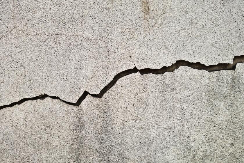 crack in a concrete wall