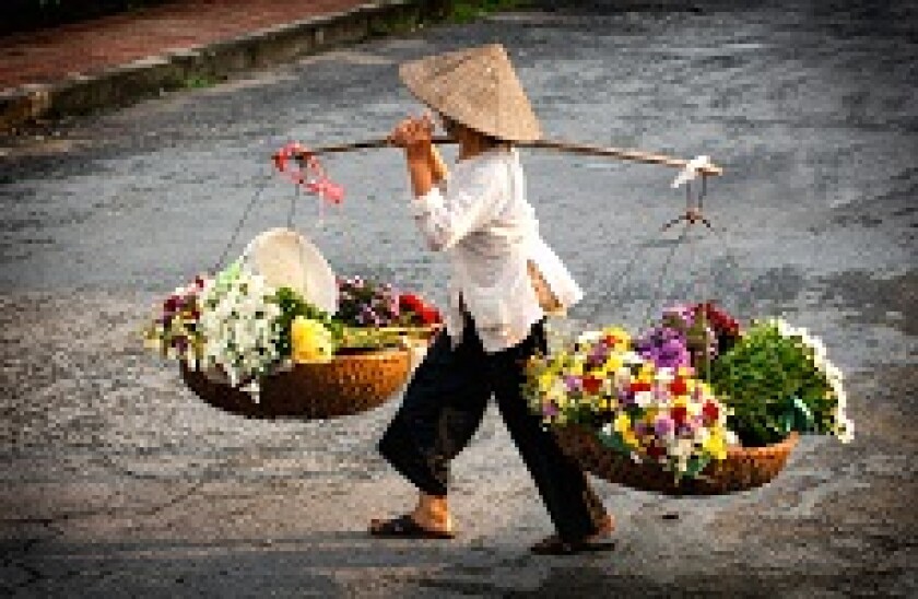 Vietnam_3_230px