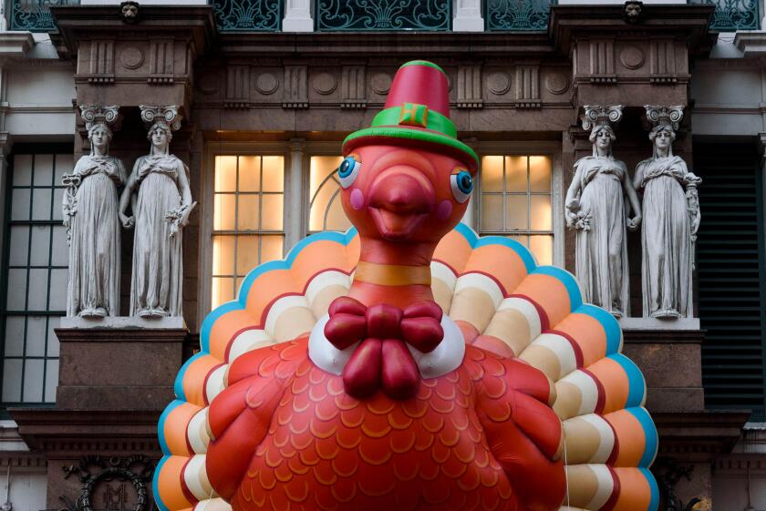 11-2017 New York, USA.  Thanksgiving Turkey in Manhattan. Photo: © Simon Grosset