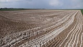 fertiliser 230-150x