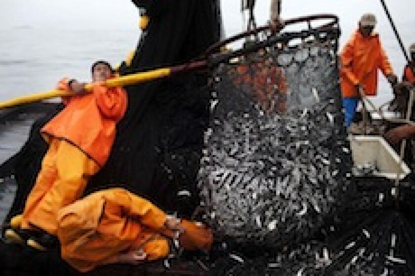 Pesquera Exalmar, Peru, fish, anchovies, anchovy