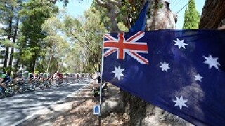 australian flag 230x