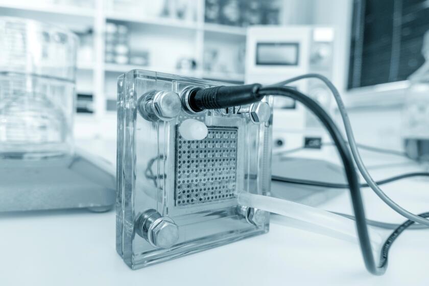 Hydrogen fuel cell.