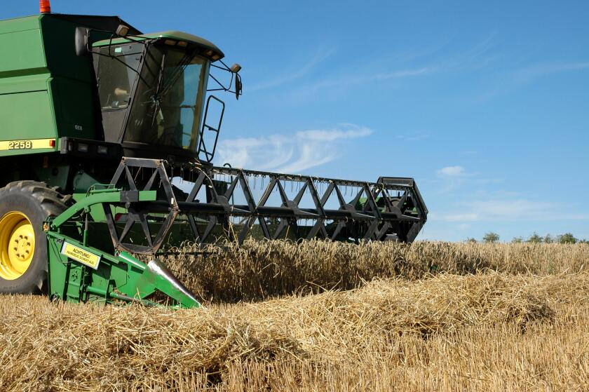 field combine harvester harvest