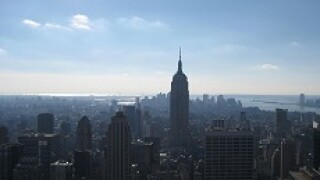 new york 230 px