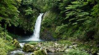 Lush green waterfall in Izu, Japan