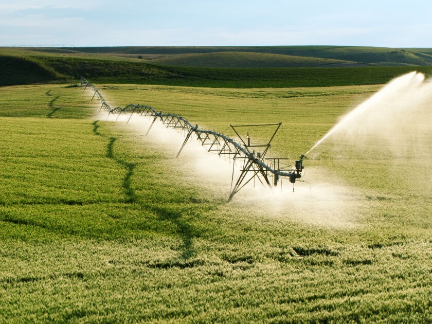Agriculture - Operating center pivot irrigation system on a green grain field / Idaho, USA.