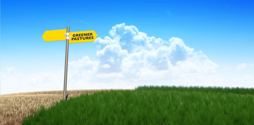 A meadow symmetrically cut with one side flourishing and the other withering symbolising the saying greener pastures