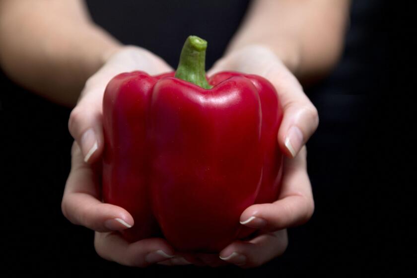 Red pepper on a woman's hand on black background - horizontal